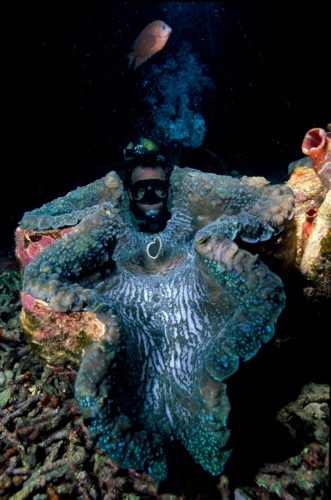 lucaandgiantclam